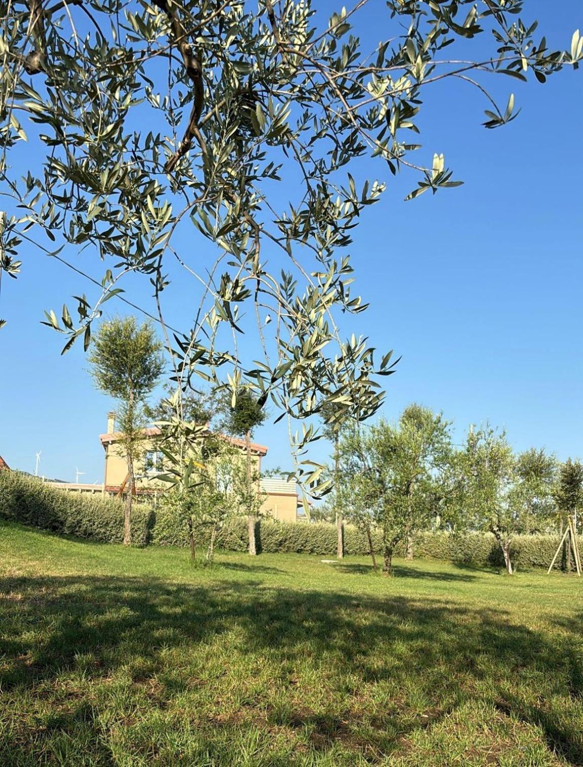 Masseria Spinale Wine Resort Melfi Esterno foto